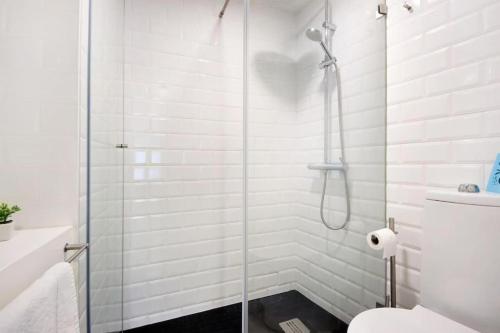 Spacious Studio in Aveiro Center in Lively Area