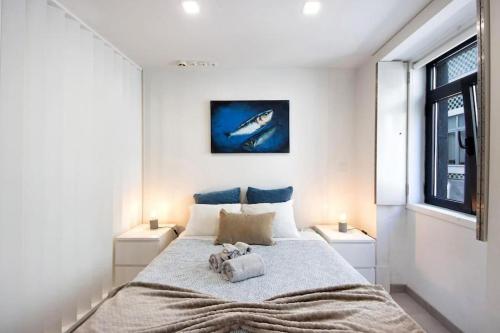 Spacious Studio in Aveiro Center in Lively Area