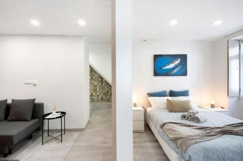 Spacious Studio in Aveiro Center in Lively Area