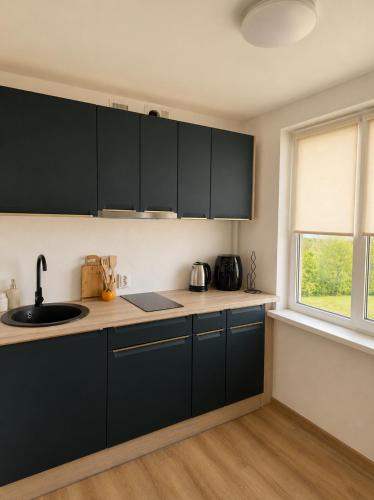 a kitchen with black cabinets and a window at Cozy Butukas in Kėdainiai