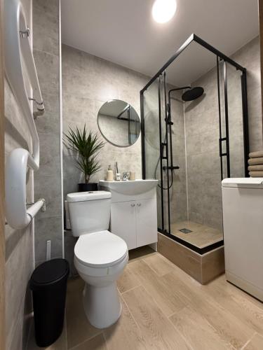 a bathroom with a toilet and a sink and a shower at Cozy Butukas in Kėdainiai