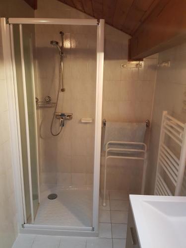une douche avec une porte vitrée dans une salle de bain dans l'établissement Chalet le Feufy, à Morzine