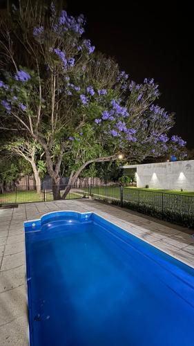 a blue swimming pool in front of a tree at Hospedaje Buena Vibra in San Nicolás de los Arroyos