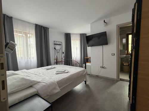 a bedroom with a large bed and a flat screen tv at Pensiunea Pluto Sulina in Sulina