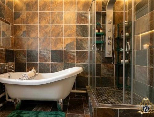 a bathroom with a bath tub and a shower at Nalana Guest House in Thaba Nchu