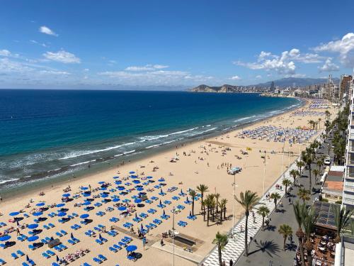 Torre Levante-Fincas Benidorm