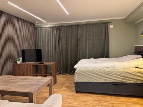 a bedroom with two beds and a table and a tv at Smart mini apartment with kitchen in Åmot