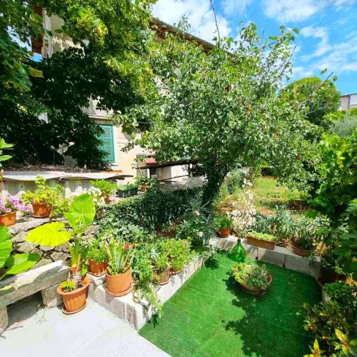 GARDEN - Two Bedroom Apartment