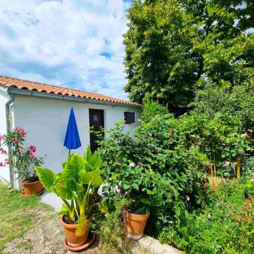 GARDEN - Two Bedroom Apartment