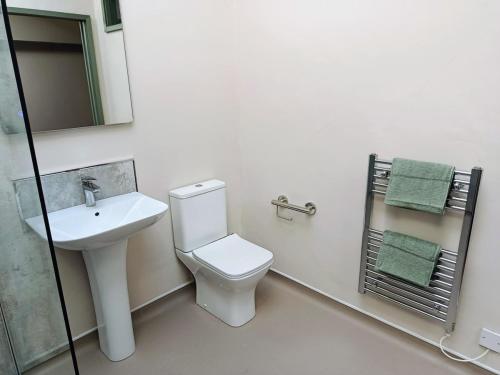 a white bathroom with a toilet and a sink at Lodge Two The Old Gasworks in Milverton