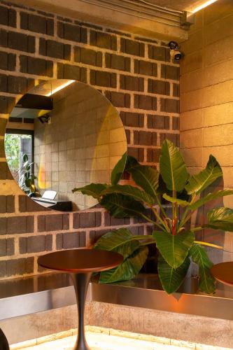 a table and a plant in front of a mirror at Wonderwall Hotel in Chiang Mai