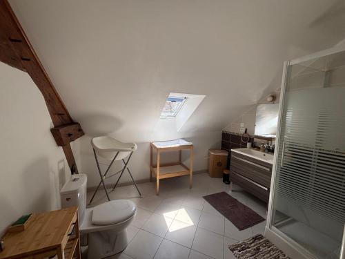a bathroom with a toilet and a sink and a shower at Gîte du Palais 3 étoiles in Châteauneuf-sur-Cher