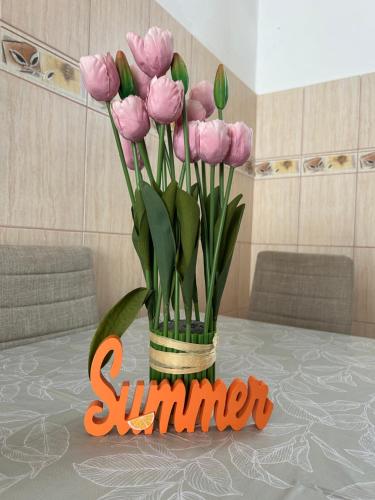 Summer Apartman