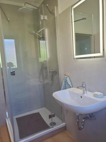 a bathroom with a shower and a sink at Apartament Flora in Mahlberg