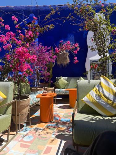 a room filled with lots of plants and flowers at Casa Amina in Chefchaouen
