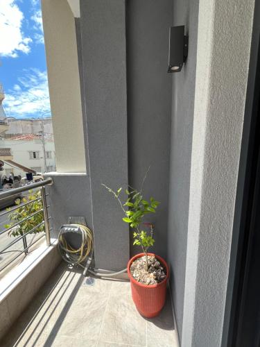 Apartment Debrova