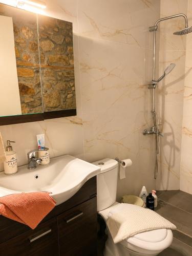a bathroom with a sink and a toilet and a shower at Βίλα Βασιλική in Elassona