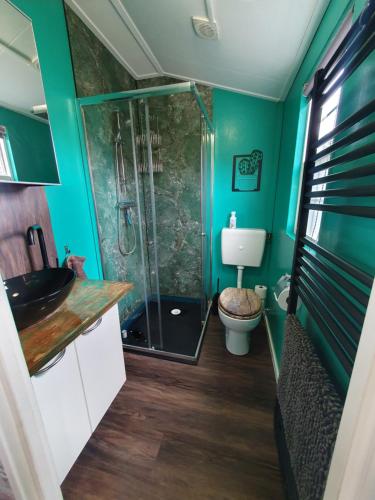 a bathroom with a shower and a toilet at dutchduochalet2 in Heenweg