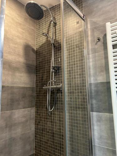 a shower with a glass door in a bathroom at Hotel Hubert in Slavonice