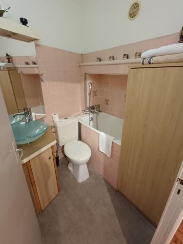 a bathroom with a toilet and a sink and a tub at La Flûte 2 in Thiers