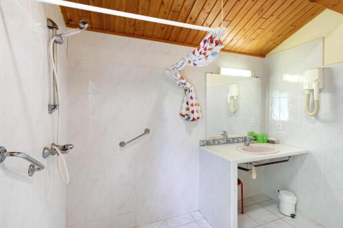 a bathroom with a shower and a sink at Chalet Le Chene Vert in Salignac Eyvigues