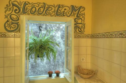 Stay local in Alfama! Alice central home, near river
