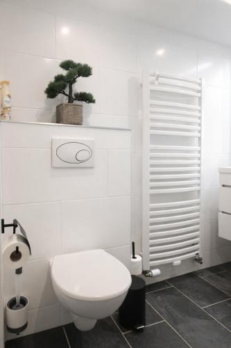 ein Badezimmer mit Toilette und einem Bonsai-Baum an der Wand in der Unterkunft Gasthof Sonnental in Winterberg