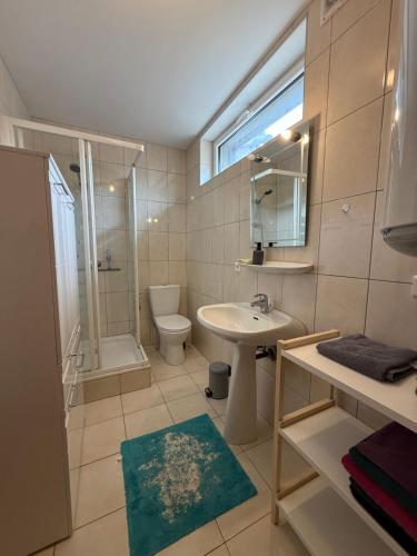 a bathroom with a sink and a shower and a toilet at Industriel F3 Appartement in Thann