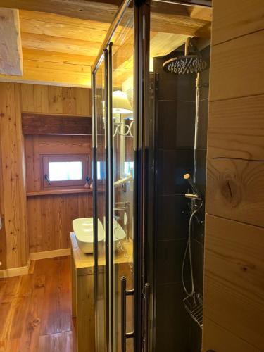 a bathroom with a glass shower and a sink at Residenza Loo Bach n 8 in Gressoney-Saint-Jean