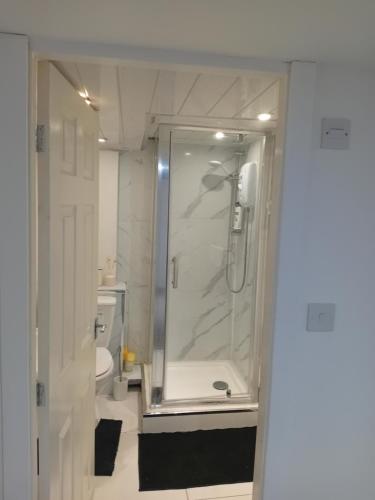 a bathroom with a shower and a toilet at Shetcliffe Lodge in Dudley Hill