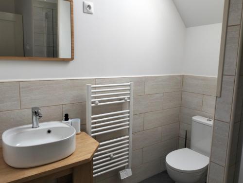 a bathroom with a sink and a toilet at Gîte la Bourgeoise in Bléré
