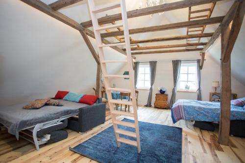 a bedroom with a bunk bed and a ladder at Denkmal Haus Hugo in Medebach
