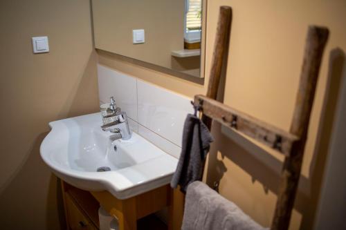 a bathroom with a sink and a mirror at Leśna Przystań in Sasino