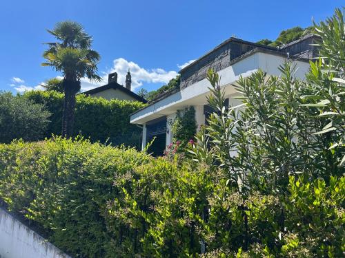 Single family house with lake view in Carona