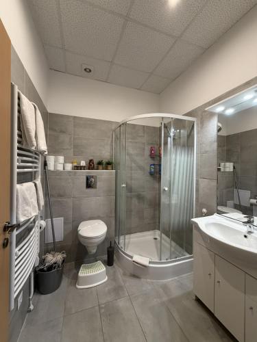 a bathroom with a shower and a toilet and a sink at Mnd Aqua Nest in Zalakaros