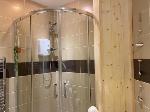a shower with a glass door in a bathroom at The Fig Tree in Brecon