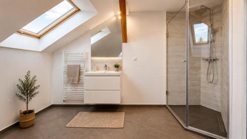 a bathroom with a shower and a sink at YFB I 130m2 Designwohnung mit 2 Bädern in Gera