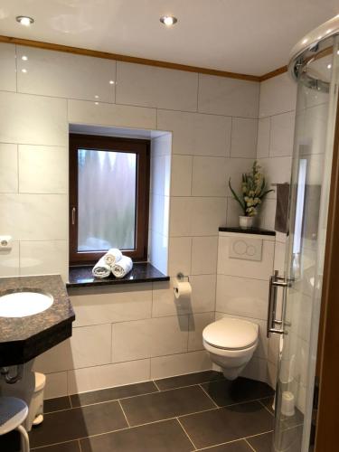 a bathroom with a toilet and a sink and a window at Ferienwohnung Brückner in Auma