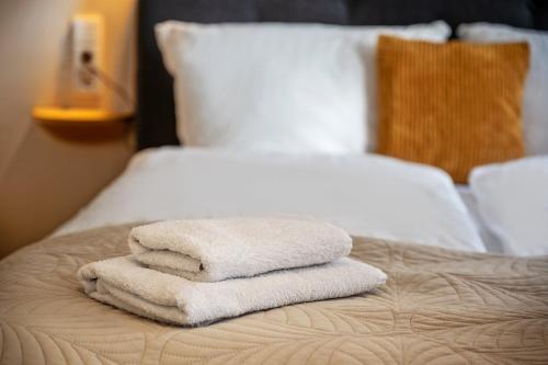 Large, comfortable and luxurious flat in Berlin Center, Prenzlauer Berg photo 18