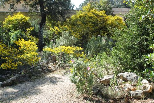 A l'Est d'Uzès – Photos 5