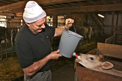 Hosté ubytování Solerhof