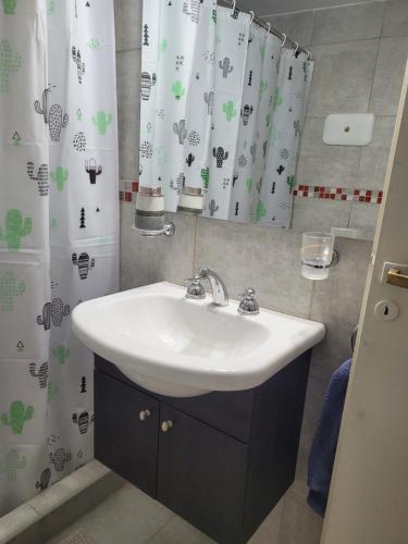 a bathroom with a sink and a shower curtain at Alto Valle Home in Cipolletti