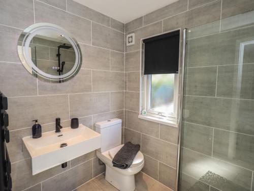 a bathroom with a sink and a toilet and a mirror at Badgers Hollow Lodge in Windermere