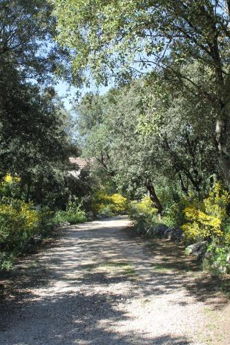 A l'Est d'Uzès – Photos 4
