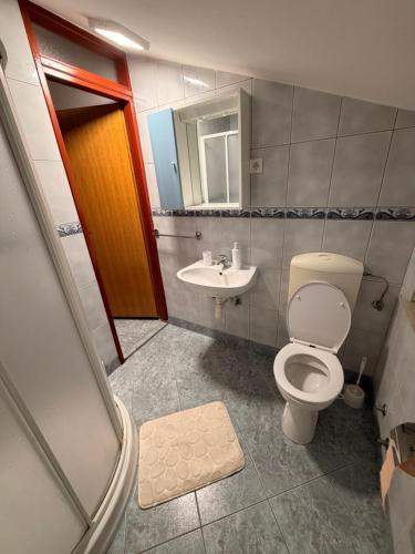 a bathroom with a toilet and a sink at Apartmani Gržeta in Vir