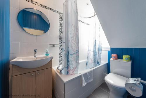 a bathroom with a sink and a toilet and a mirror at Bass Rock View in North Berwick
