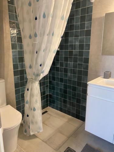 a bathroom with a shower curtain and a toilet at Fedon in Halki