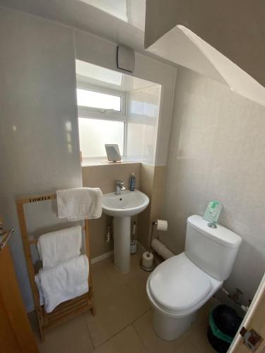 a small bathroom with a toilet and a sink at Mackenzie Cottage, Kinlochbervie in Oldshore