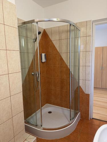 a shower with a glass door in a bathroom at Akácfa B&B in Zalakaros