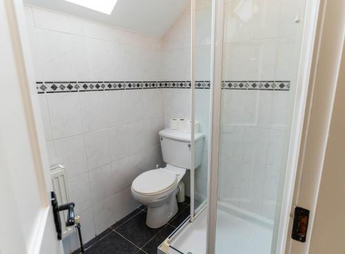 a bathroom with a toilet and a shower at Montbretia - Ballinskelligs in Dungeagan